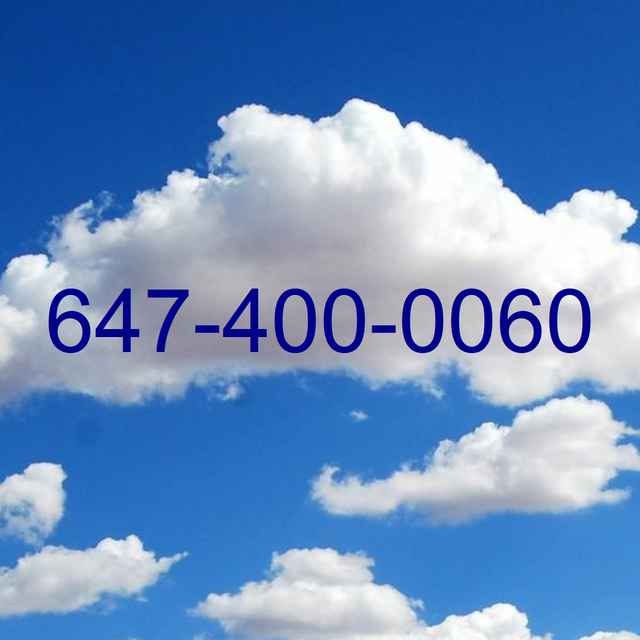 416 Toronto number for business 0000 2222 5555 7777