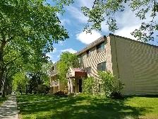 Downtown studio fully furnished cozy home for your move in!