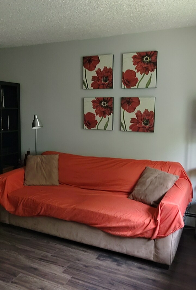 Downtown studio fully furnished cozy home for your move in! - Photo 4
