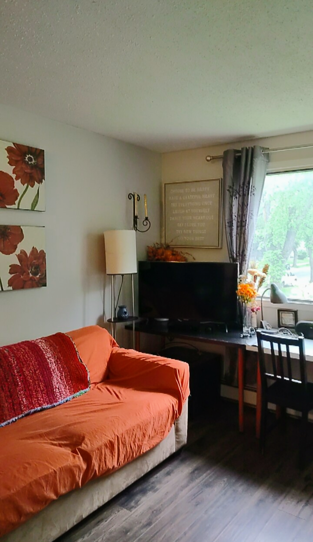 Downtown studio fully furnished cozy home for your move in! - Photo 9