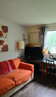 Downtown studio fully furnished cozy home for your move in! - Photo 9