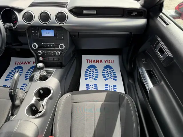 2022 FORD MUSTANG GT FASTBACK MANUAL - Photo 10
