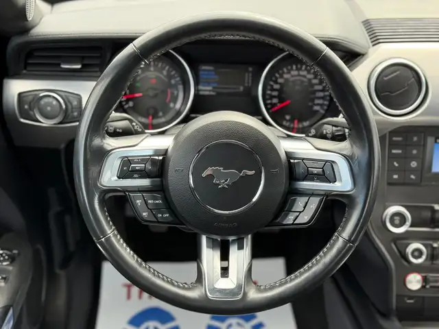 2022 FORD MUSTANG GT FASTBACK MANUAL - Photo 14