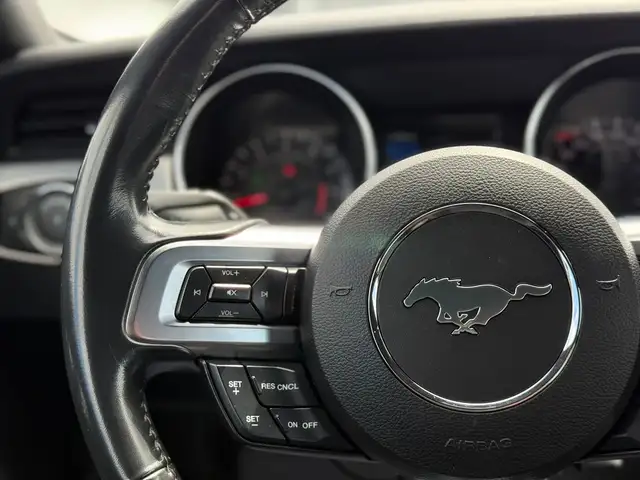 2022 FORD MUSTANG GT FASTBACK MANUAL - Photo 15