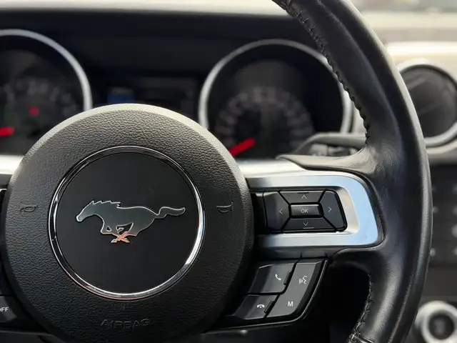 2022 FORD MUSTANG GT FASTBACK MANUAL - Photo 16