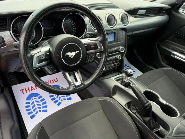 2022 FORD MUSTANG GT FASTBACK MANUAL - Photo 20