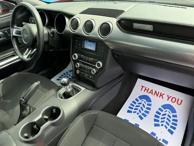 2022 FORD MUSTANG GT FASTBACK MANUAL - Photo 22