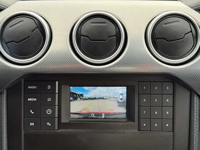 2022 FORD MUSTANG GT FASTBACK MANUAL - Photo 24