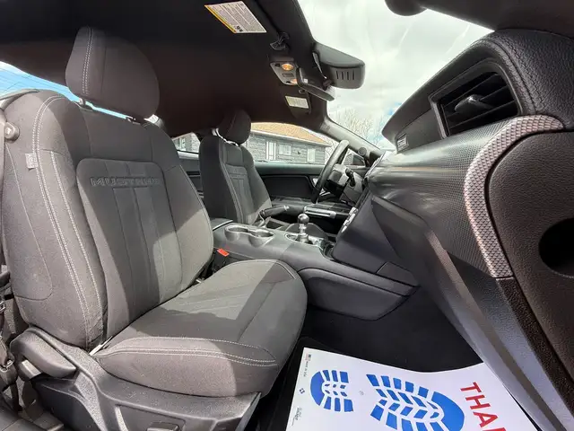 2022 FORD MUSTANG GT FASTBACK MANUAL - Photo 26