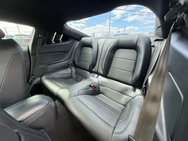 2019 FORD MUSTANG GT PREMIUM FASTBACK MANUAL - Photo 7