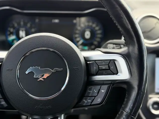 2019 FORD MUSTANG GT PREMIUM FASTBACK MANUAL - Photo 15
