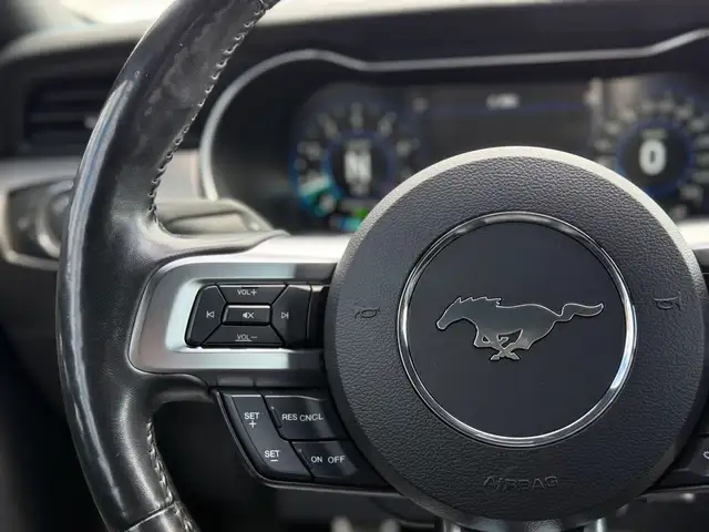 2019 FORD MUSTANG GT PREMIUM FASTBACK MANUAL - Photo 16