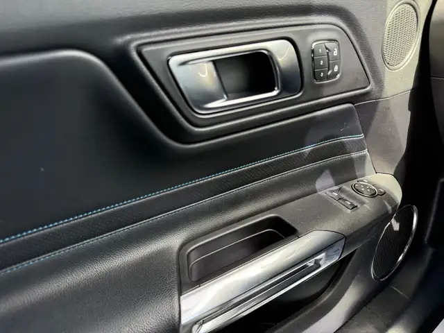 2019 FORD MUSTANG GT PREMIUM FASTBACK MANUAL - Photo 18