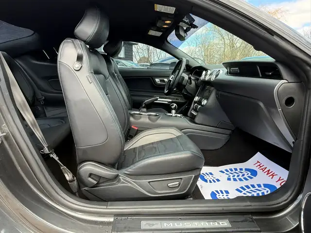 2019 FORD MUSTANG GT PREMIUM FASTBACK MANUAL - Photo 21