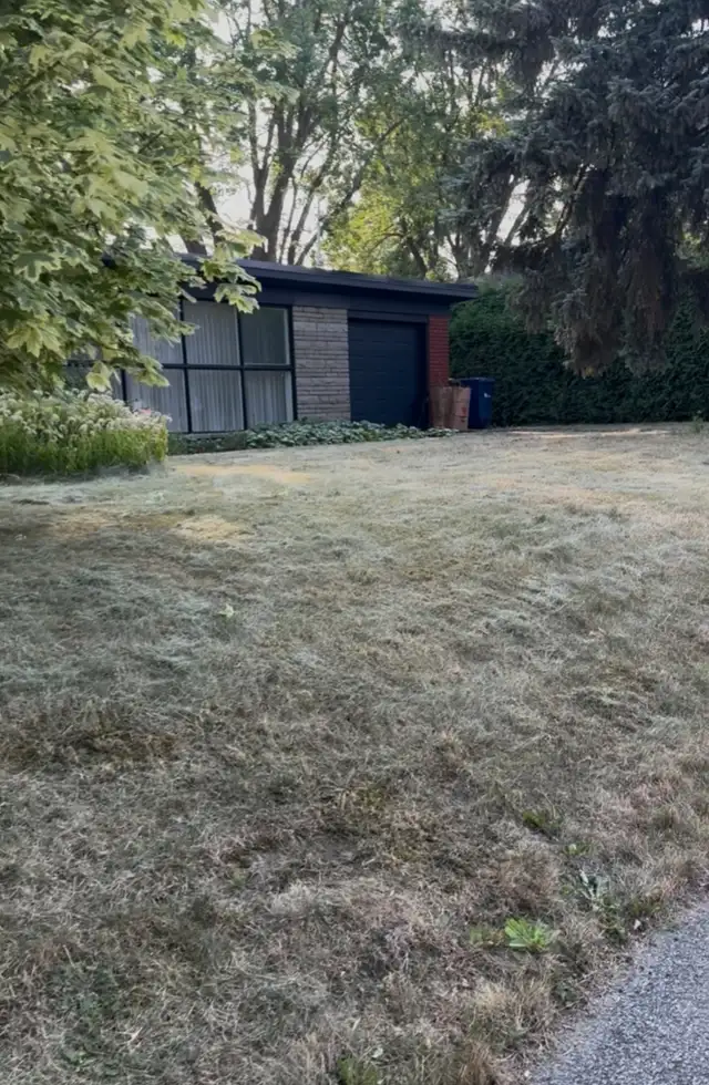 Entretien de Pelouse Fiable et Abordable - Photo 2