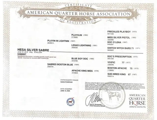 Standing at Stud - Photo 7