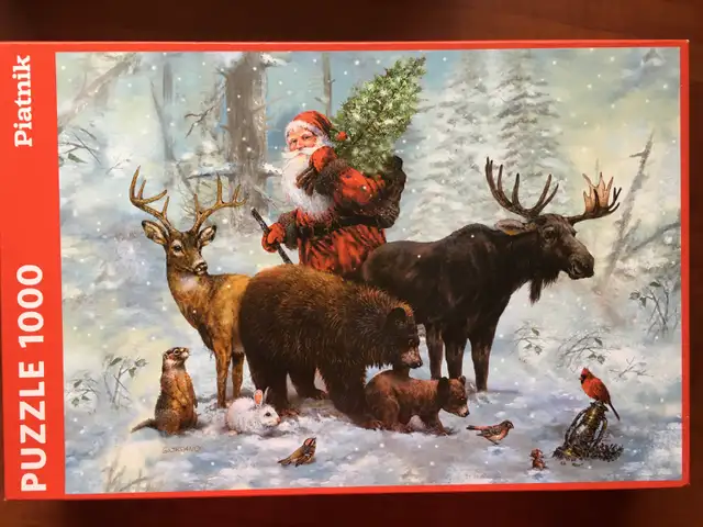 Casse-têtes –HIVER NOËL (10 CT) – 1000 à 3000 pcs (no3)