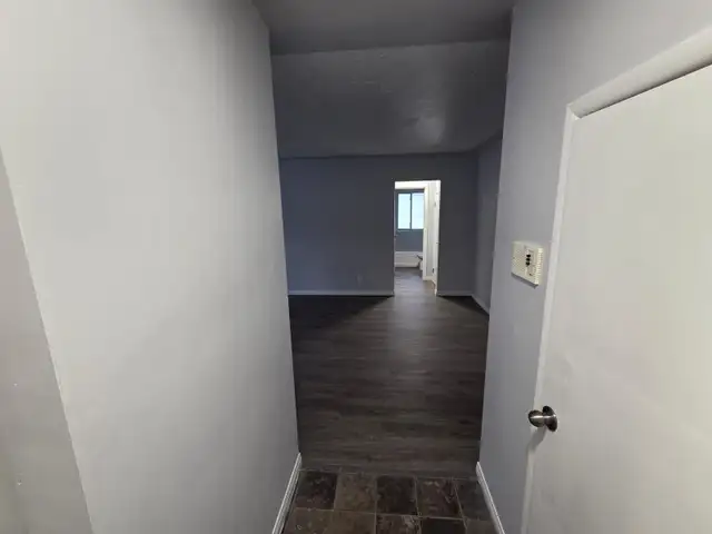 Newly Renovated 1 Bedroom Apartment - Great Location ! - Photo 4