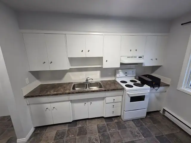 Newly Renovated 1 Bedroom Apartment - Great Location ! - Photo 6