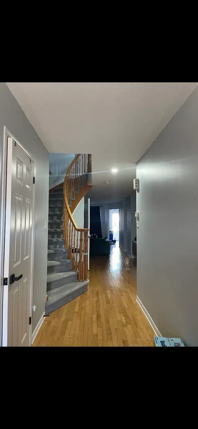 2 Bedrooms for rent, Barrhaven - Photo 4