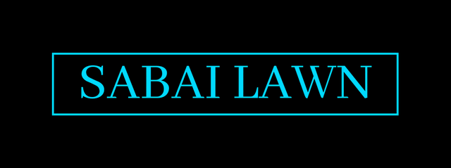 PT cash job driving with own lawn mower and cutting grass. - Photo 6