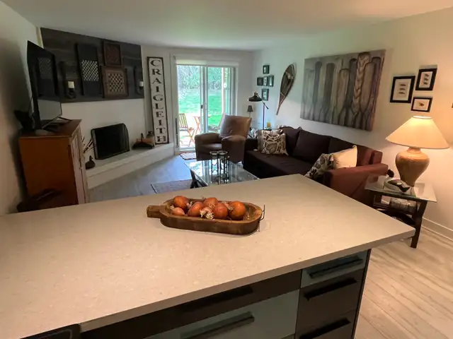 Furnished 1 Bed 1 Bath Ground Floor Condo on Georgian Bay - Photo 4