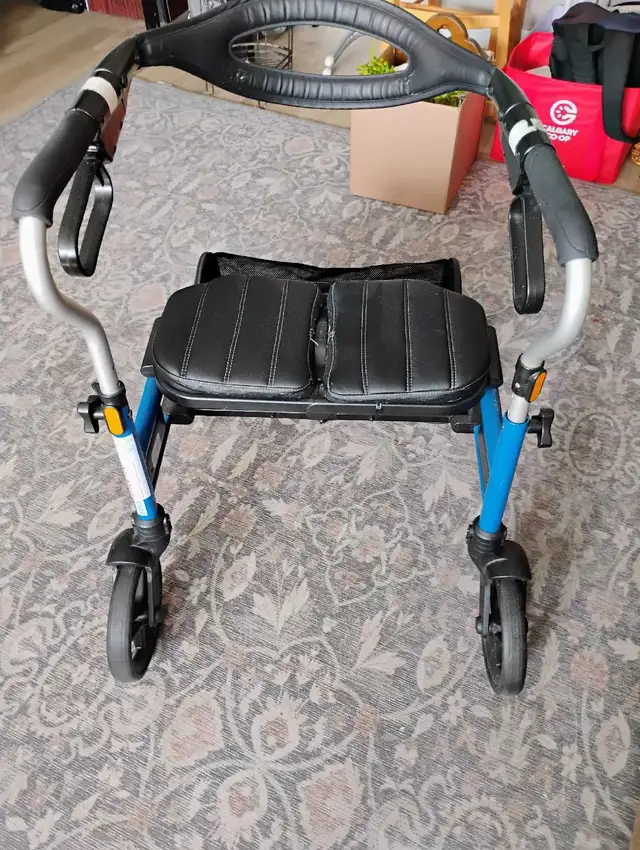 Mobility Walker