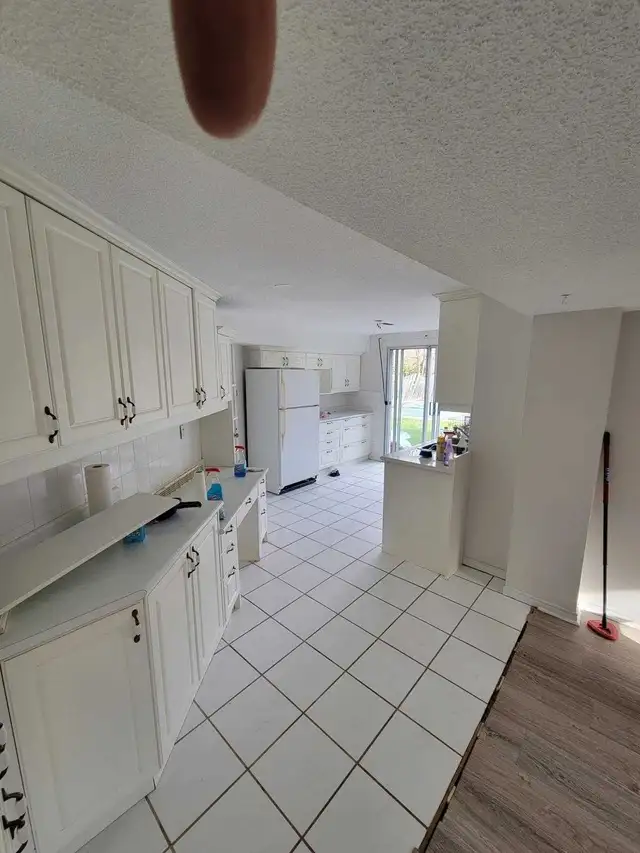 Spacious Walk-Out Basement - Photo 2