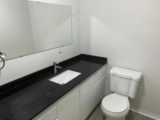 Spacious Walk-Out Basement - Photo 9