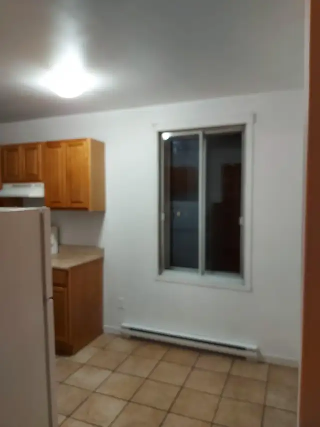 Beau 2 1/2 À LOUER – Libre- MÉTRO PARC - Photo 3