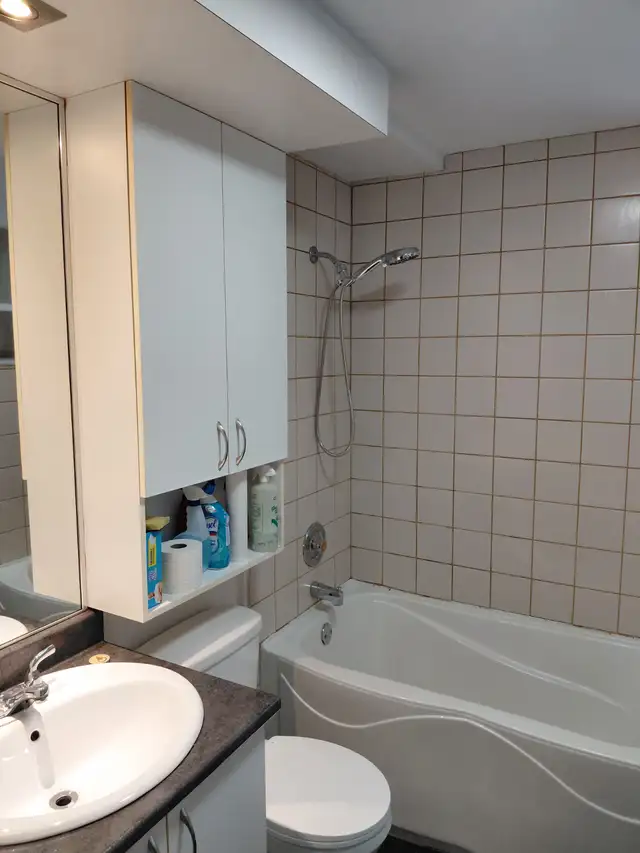 Cap Rouge 3 1/2     Rénové demi sous sol libre - Photo 6