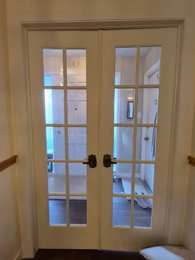 DOUBLE GLASS INSERT DOORS 24 BY 80 SIZE - Photo 5