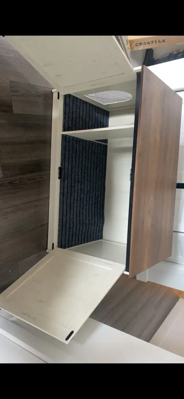 Chatton femelle Mainecoon 6 mois - Photo 5