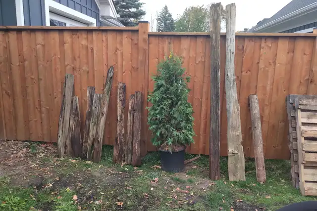 CEDAR RAILS - Select, Straight, Solid, Thick - Photo 4