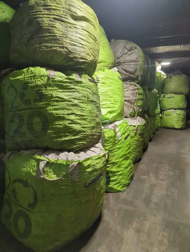 Full Time Job - Saint John NB