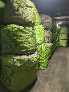 Full Time Job - Saint John NB