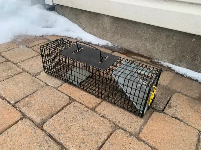 Small Animal Trap - Photo 2