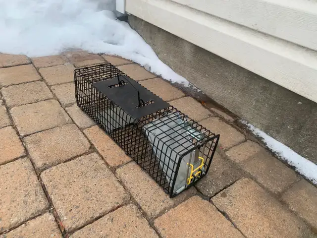 Small Animal Trap - Photo 3