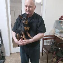 Have you seen this little guy?