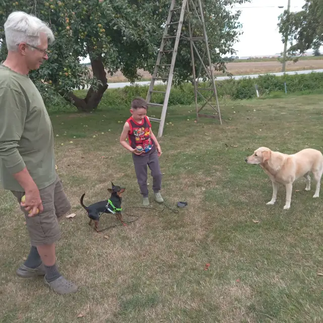 Have you seen this little guy? - Photo 4