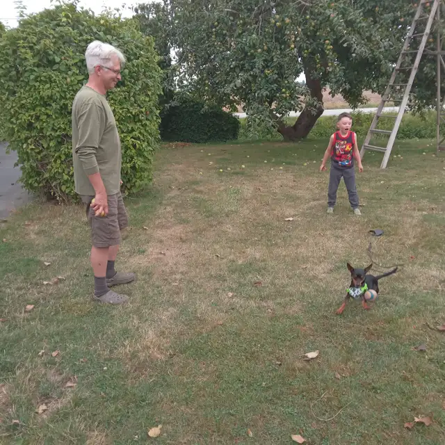 Have you seen this little guy? - Photo 6