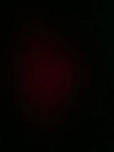 EXPERIENCED PAINTER AVAILABLE