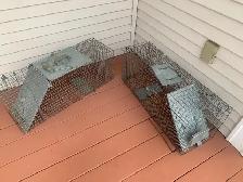 Large Animal Traps