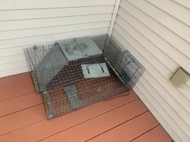 Large Animal Traps - Photo 2