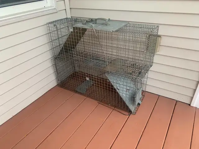 Large Animal Traps - Photo 3