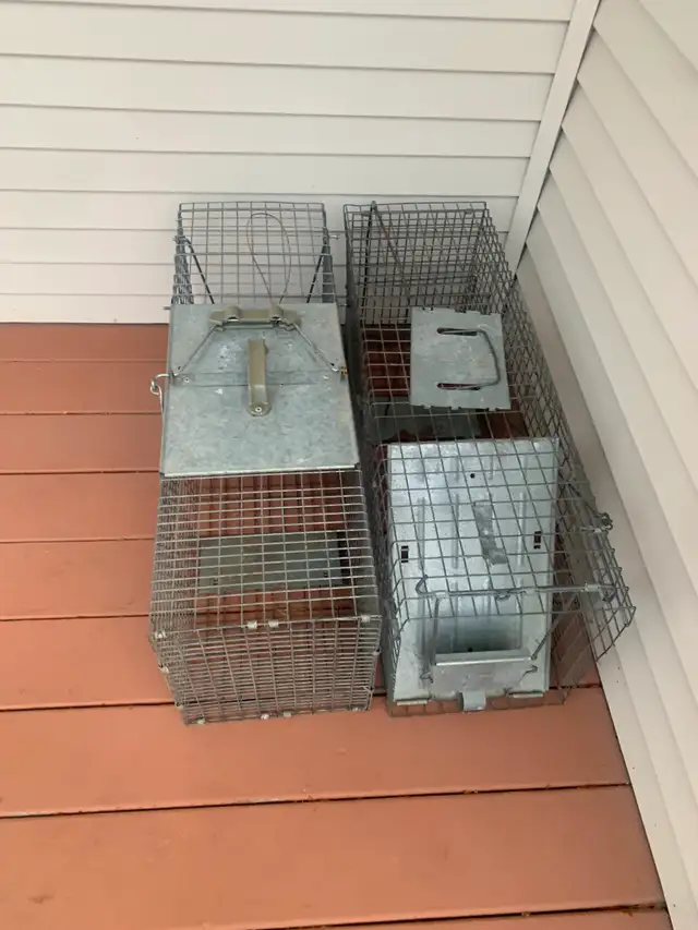 Large Animal Traps - Photo 4