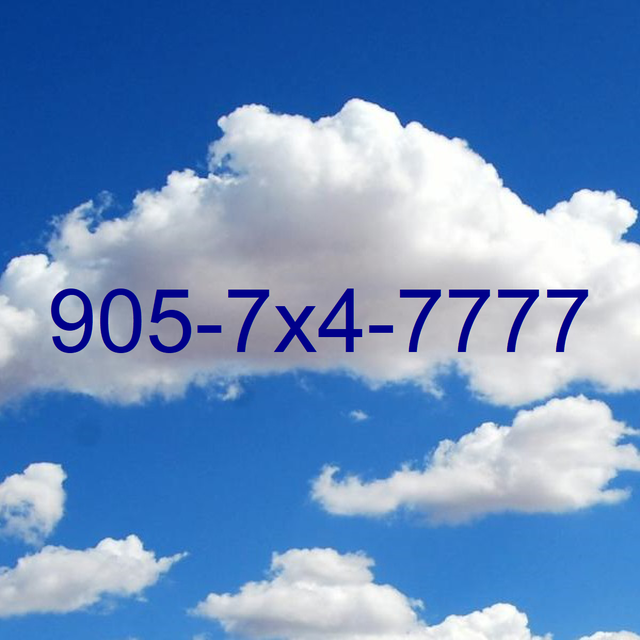 Mississauga Lucky 289 905 Top Line 416 Number Sale