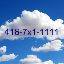 ViP Super Memorable 416 Toronto Easy Phone Numbers 11111