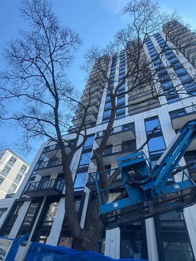 South Forest Hill Exclusive Assignment | ONLY West-Fa - Photo 11