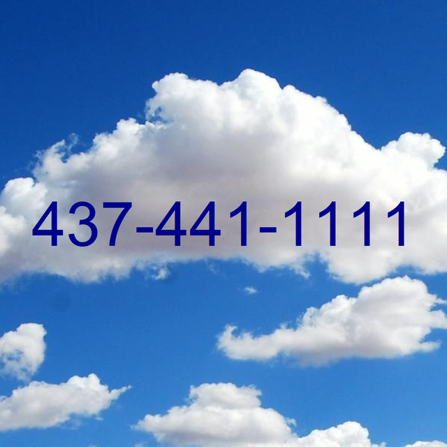 Premium Collection Of ViP 416 Toronto Numbers For Sale